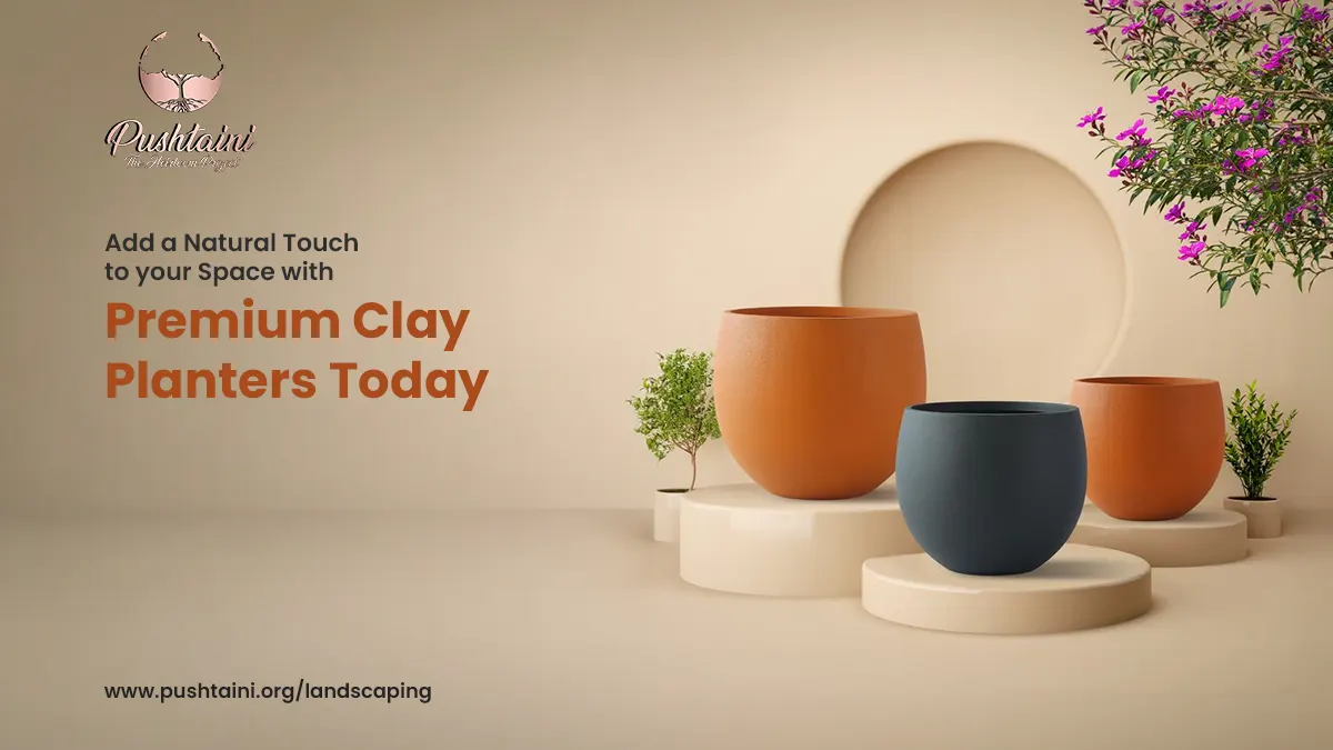 Add a Natural Touch to your Space with Premium Clay Planters Today