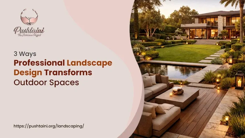 3 Ways Professional Landscape Design Transforms Outdoor Spaces