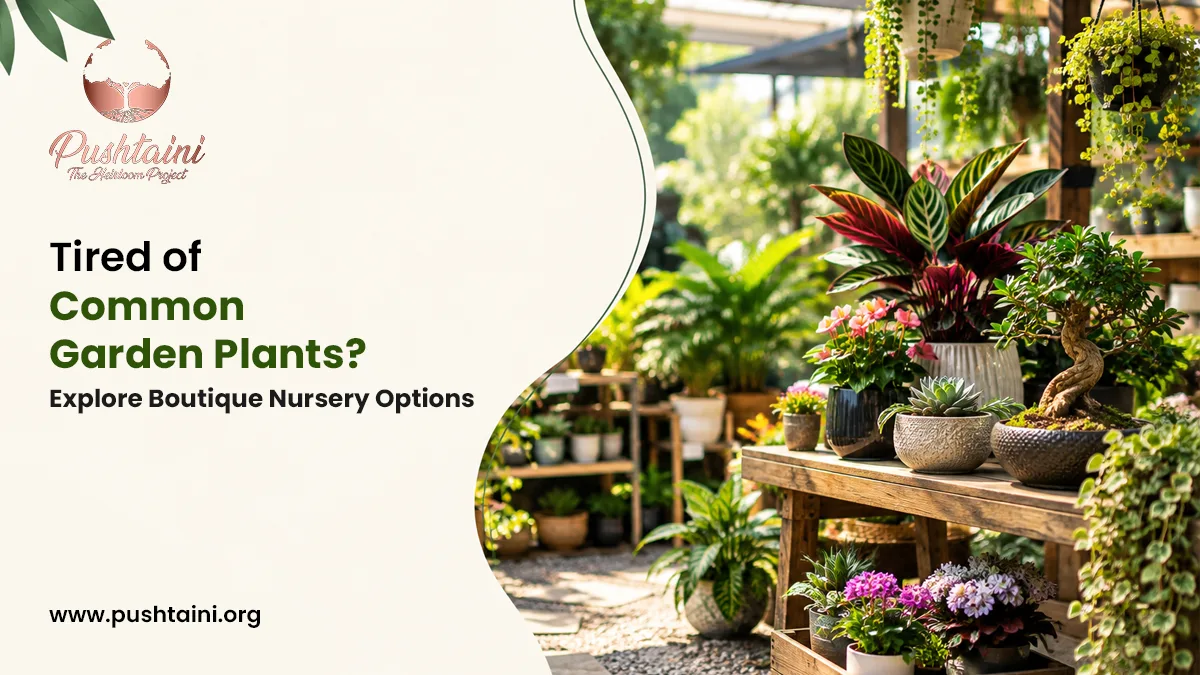 Tired of Common Garden Plants? Explore Boutique Nursery Options