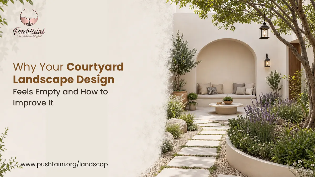 Why Your Courtyard Landscape Design Feels Empty and How to Improve It