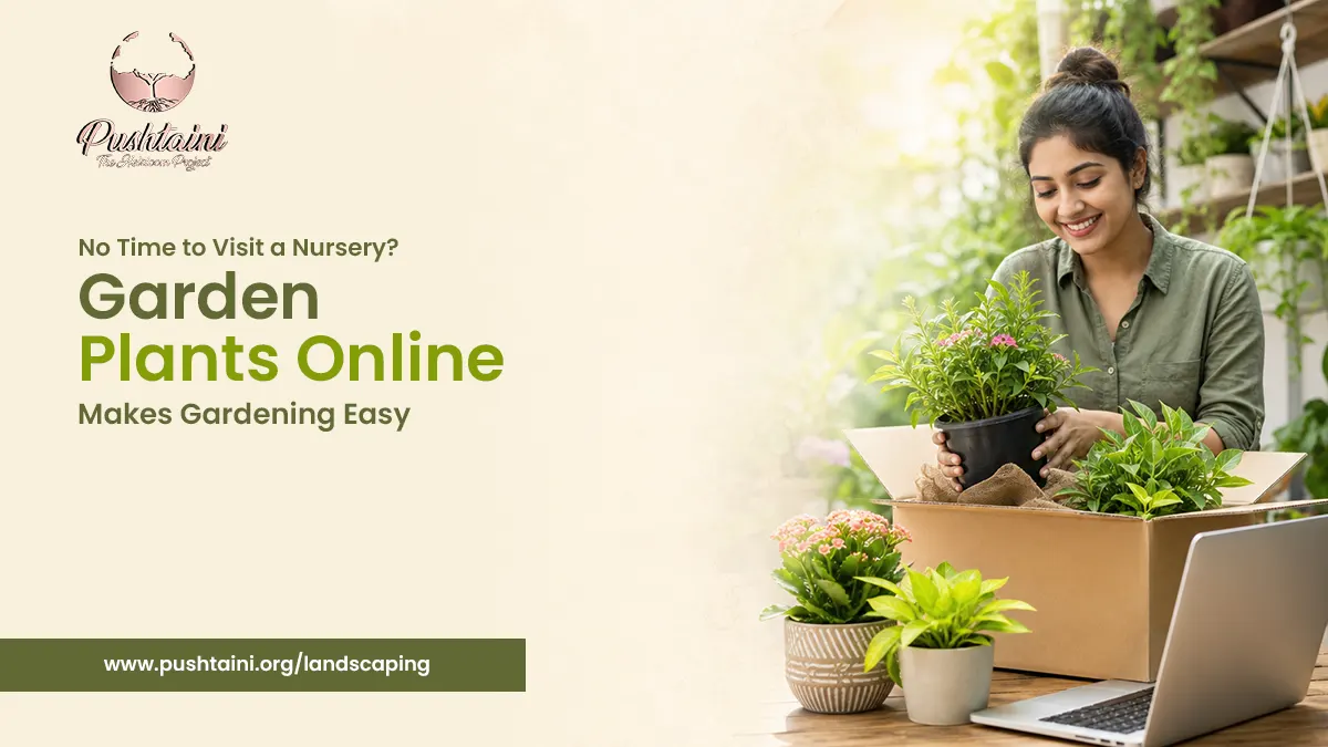 No Time to Visit a Nursery? Garden Plants Online Makes Gardening Easy