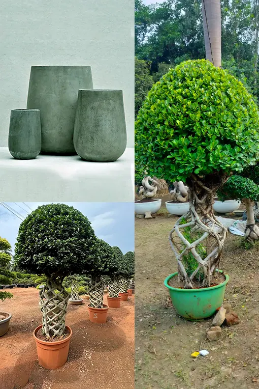 FRP Planters