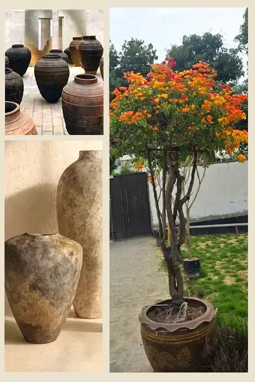 Premium Terracotta Planters